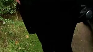 Cik Bellucci jolok sedap Memeterai Tawaran - dalam POV!